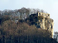 Ohne Laub erkennt man im Winter die Spornlage mit dem natürlichen Halsgraben der Ruine Rosenstein