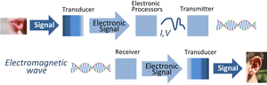 Signal transmission using electronic signals