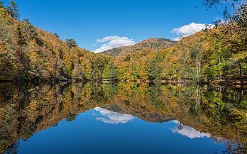 Büyükgöl (“Grande Lago”) no vale dos Sete Lagos do Parque nacional Yedigöller, Turquia. O parque está localizado a uma altitude de 900 metros no distrito de Mengen, na região ocidental do mar Negro. Fundado em 1965, abrange uma área de 1 623 hectares. Há sete lagos no parque formados devido a deslizamentos de terra. Vários riachos fluem por ele, alguns dos quais têm pontes artesanais e uma pequena queda d'água. (definição 7 680 × 4 800)