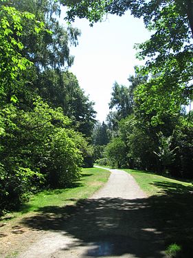 Washington Park Arboretum trail