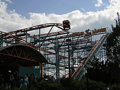 Wild Mouse