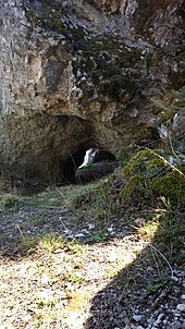 Ulaz u polu zatrpanu pećinu