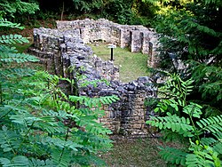 Ruines de l'église du monastère de Milentija.