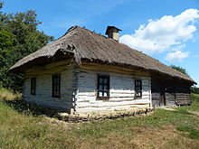 Хата з села Бзів Баришівського району Київської області, Київ, Пирогів