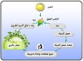 إعادة تدوير PLA في الطبيعة