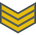 Sergeant (Namibian Army)[66]