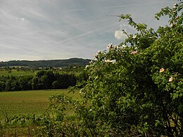 Gallenkirch – Veduta