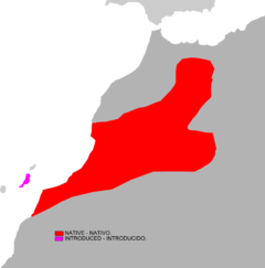 Distribuição geográfica