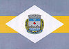 Flag of São José do Rio Pardo