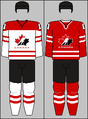 IIHF jerseys 2014, 2016