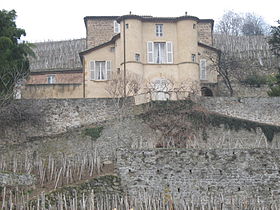 Image illustrative de l’article Château de Château-Grillet