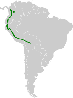 Distribución geográfica del colibrí de Mulsant