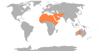 Distribución do dromedario doméstico