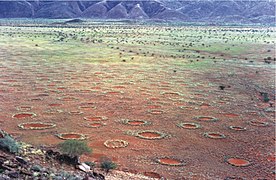 Fairy circles in the Marienflusstal area in Namibia