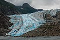 Glaciar Davidson, Haines.