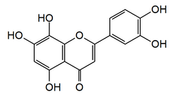 Chemical structure of hypolaetin.