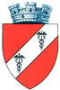 Coat of arms of Hertsa