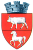 Coat of arms of Săveni