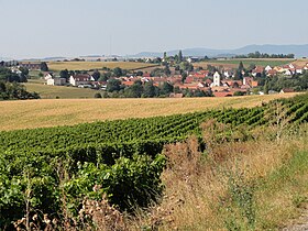 Kienheim