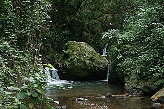 Water stream at El Monte del Estado