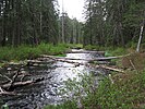 Little Butte Creek