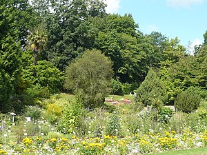 Jardin des plantes.