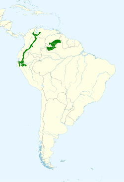 Distribución geográfica del ermitaño barbigrís.