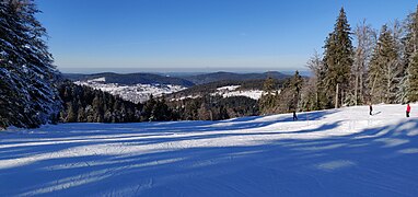 Descente du début de la piste noire Le cerf