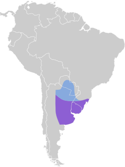 Distribución geográfica del doradito común.