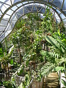 Inside the Tropical Centre