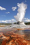 Castle Geyser, Yellowstone