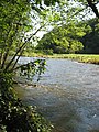 L'Yonne après le barrage de Pannecière-Chaumard