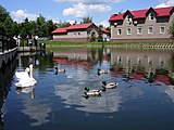 В озере водятся лебеди и утки