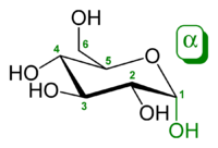 α-D-glucopyranose (تشكلات حلقي الهكسان)