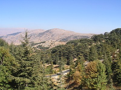 Au loin, on distingue sur les collines dénudées une restauration de cédraie (Réserve naturelle du Chouf)