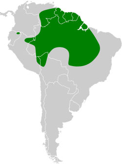 Distribución geográfica del palmero.