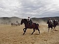 Vignette pour la version du 15 juillet 2022 à 20:33