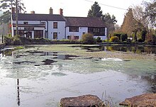 In the foreground is the large village duck pond. Beyond are a stone wall and road, with the post office and white painted houses.