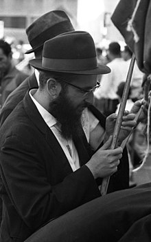 A man testing whether a lulav is kosher, Jerusalem, 1969