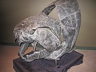 Dunkleosteus