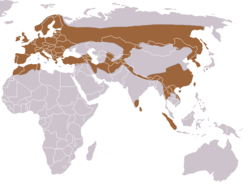 Distribución da especie