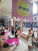 Flush in corso