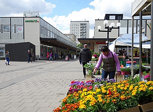 Torget och torghandeln.