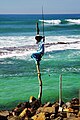 Stilt fisherman