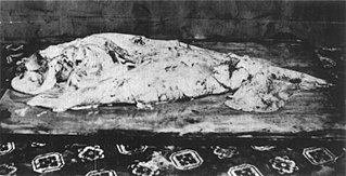 #30 (25/11?/1873) The mutilated mantle of the specimen from Logy Bay, photographed in Moses Harvey's home (the caudal fin is visible on the right). This original photograph appears not to have been published prior to Aldrich (1991:458, fig. 1B).