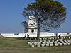 Lone Pine at Lone Pine Cemetery, Gallipoli