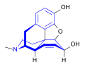 La structure dans l'espace de la morphine.