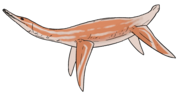 Palmulasaurus