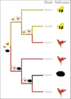 Schematic of the reconstruction of ancestral pollinators for plants.