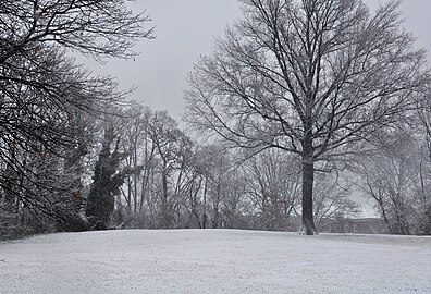 55. Point Reno in the District of Columbia